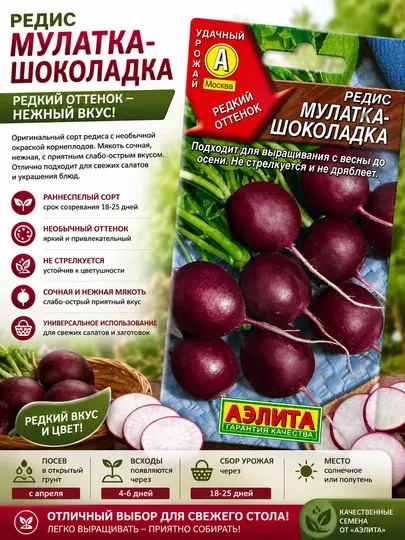 Семена редиса: Мулатка-шоколадка. Аэлита