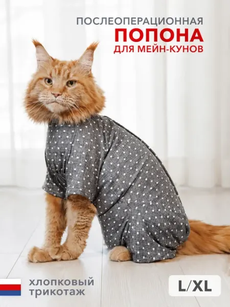 МУРЛЭНД Попона для кошки мейн-кун послеоперационная
