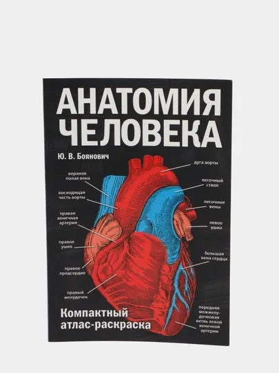 Анатомия человека: компактный атлас-раскраска, Юрий Боянович