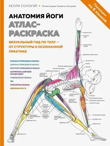 Эксмо Анатомия йоги атлас-раскраска. Визуальный гид по телу от