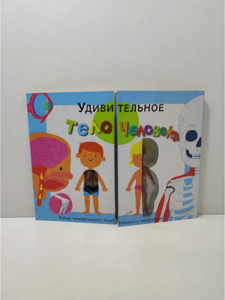 АСТ Удивительное тело человека. Книжка-картонка с окошками