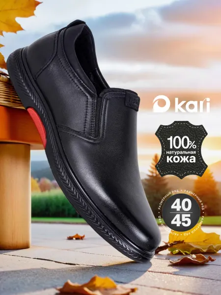 Kari Туфли мужские демисезонные
