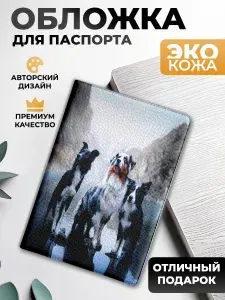 Обложка на паспорт и загранпаспорт Бордер-колли