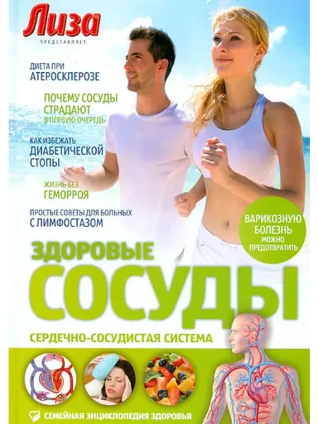 Амфора Здоровые сосуды Сердечно-сосудистая система