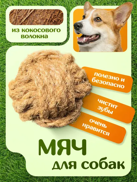 Ёжки-Палки Игрушка для собак и щенков Мяч