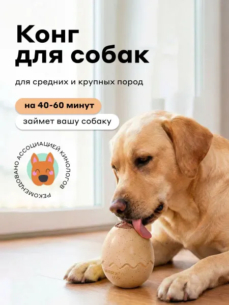 Игрушка-конструктор для кормления собак средних и крупных