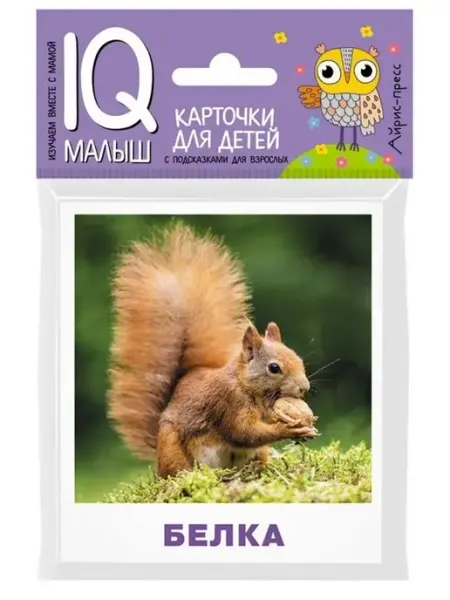 АЙРИС-пресс Умный малыш. Карточки для детей. Кто живёт в лесу?