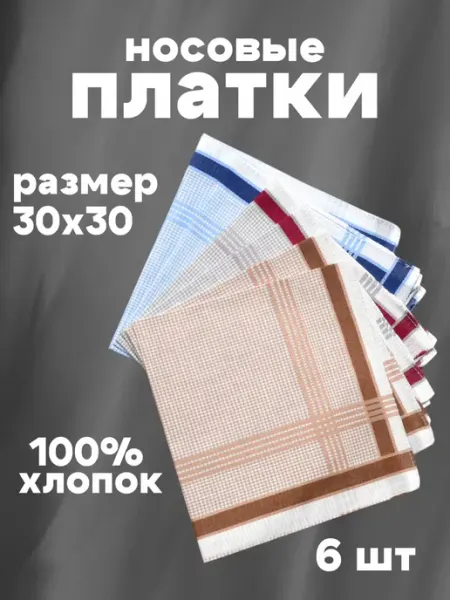 TrendyKost Платок носовой мужской набор 6 шт