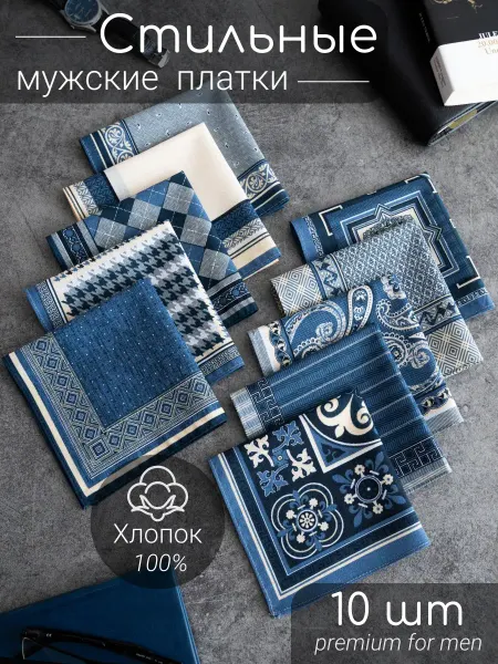 ARSTEX Носовые платки мужские набор 10 шт