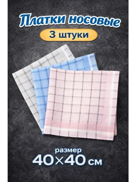 Платки носовые мужские