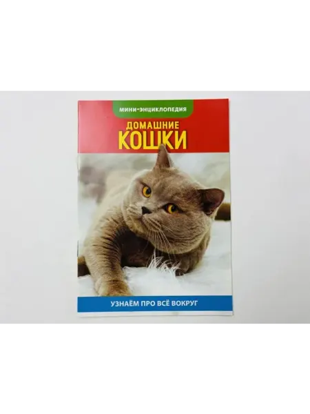 Буква-Ленд Домашние кошки. Мини-энциклопедия