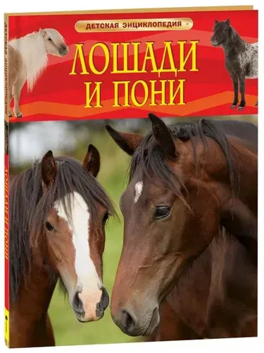 Лошади и пони. Детская энциклопедия