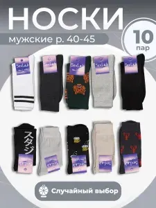 Носки мужские 10 пар, 10 пар