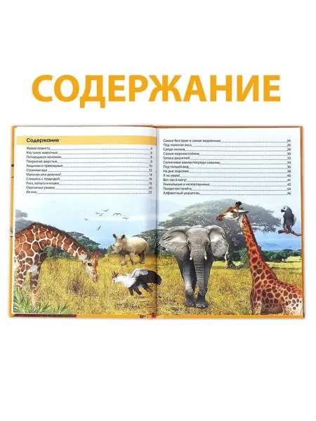 Увлекательная энциклопедия о животных для всех