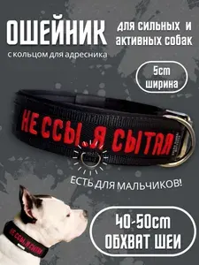 Ошейник "Не ссы, я сытая". Размер 40-50см. Широкий на пряжке, усиленный, для средних и крупных собак, с вышивкой. Для прогулок, дрессировки, спорта. Чёрный с красным. Ширина 5см