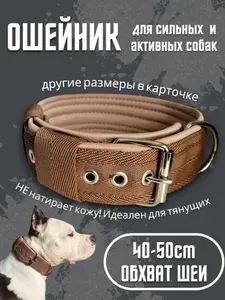 Ошейник на пряжке. Размер 40-50см. Коричневый с бежевым. Усиленный, для средних и крупных собак, широкий. Для прогулок, дрессировки, спорта. Ширина 5см