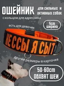 Ошейник с вышивкой "Не ссы, я сыт". Размер 50-60см. Чёрный с оранжевым. Широкий на пряжке, усиленный, для средних и крупных собак. Для прогулок, дрессировки, спорта. Ширина 5см