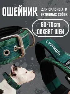 Ошейник с ручкой широкий на пряжке. Размер 60-70см. Усиленный, для средних и крупных собак. Для прогулок, дрессировки, спорта. Зелёный с чёрным. Ширина 5см