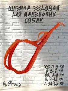 Шлейка ездовая X-back для маленьких пород собак. Апельсин. Mini. L