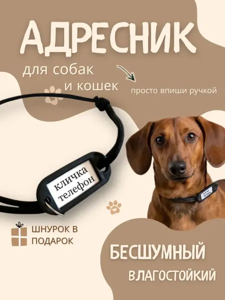 Адресник для собак Бесшумный со шнурком 20-40 см