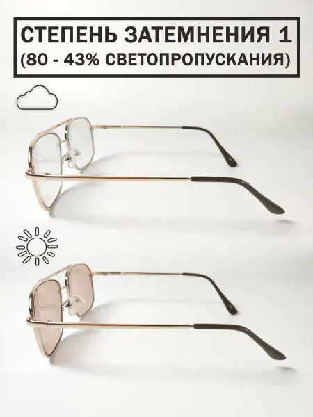 CorrectiveOnline Металлические очки хамелеон мужские корригирующие +1