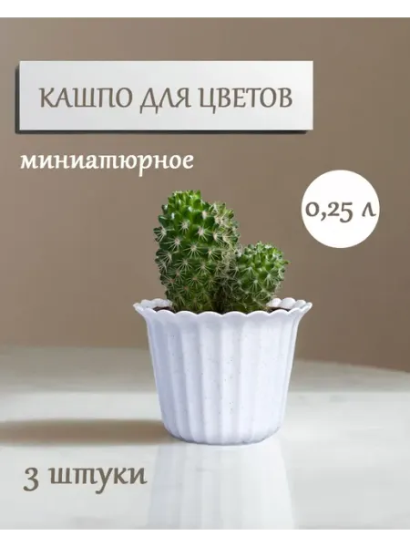 Магазин для цветоводов Горшки - кашпо для цветов 0,25 л ( набор 5 шт.)