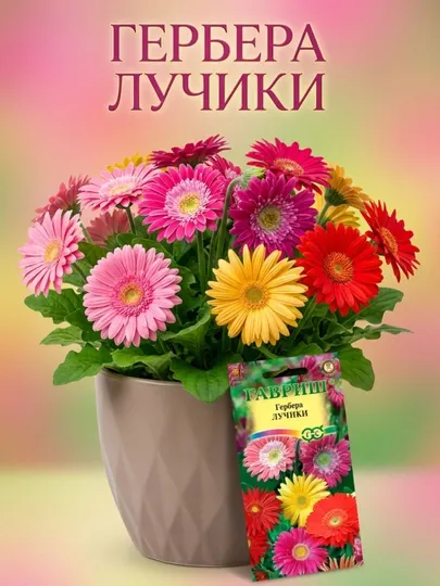 Семена Гербера Лучики, смесь, 0,05г, Гавриш, Цветочная коллекция