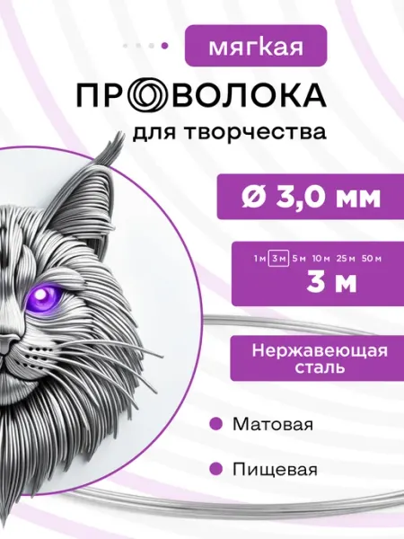 DoLuress Проволока нержавеющая мягкая 3,0 мм 3 метра, 12Х18Н10Т
