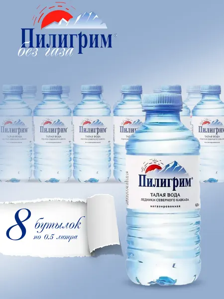 Аквалинк Вода питьевая Пилигрим 0.25 литра, без газа, 8 шт. в уп