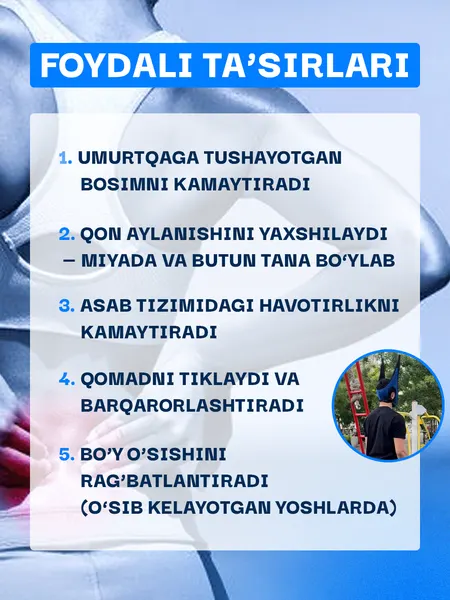 Петля Глиссона (тренажер для позвоночника)
