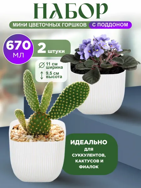 GDS Comfort Набор горшков для кактусов и суккулентов 0,67л 2 шт