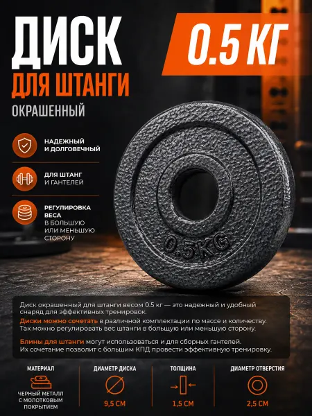 ZEZ Диск для штанги окрашенный 0,5 кг d-25