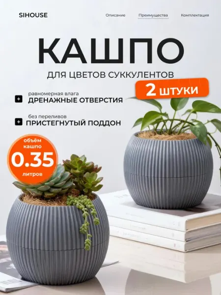 SiHouse Кашпо для суккулентов и кактусов 0.15 л 5 шт