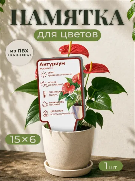 0_ok.rilART Памятка по уходу Антуриум