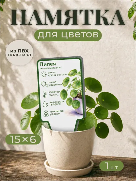 0_ok.rilART Памятка по уходу Пилея