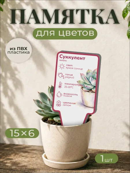 0_ok.rilART Памятка по уходу Суккулент