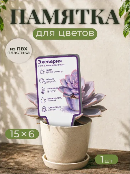 0_ok.rilART Памятка по уходу Эхеверия