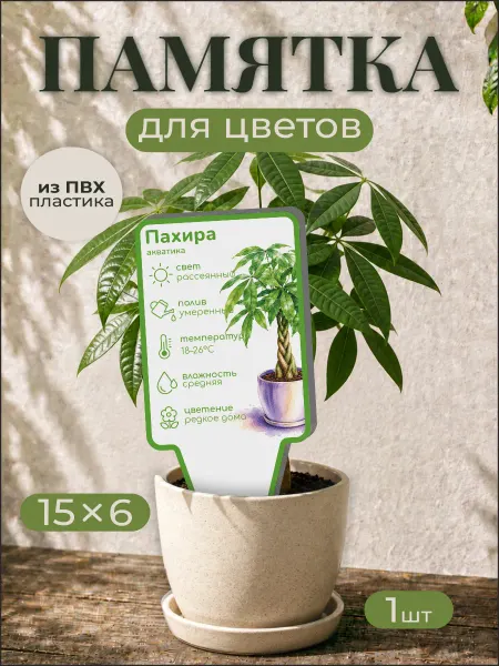 0_ok.rilART Памятка по уходу Пахира акватика