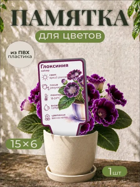 0_ok.rilART Памятка по уходу Глоксиния кайзер