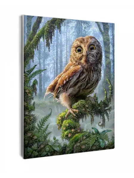 000 Art-Hobby-Create Картина на стену для интерьера сова 40х50