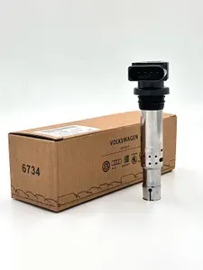 Катушка Зажигания 036905715g