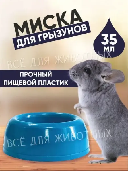 Зоотовары Миска - кормушка для грызунов