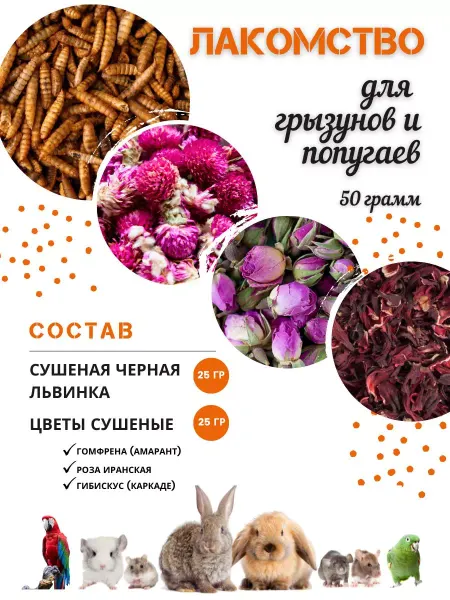 ЭКОвЖИЗНЬ Лакомство для грызунов и птиц