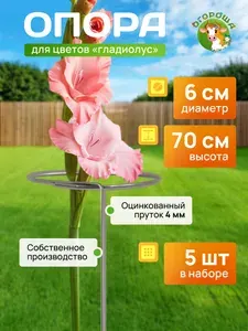 Опора для Гладиолусов оцинкованная 4мм d-0,06м, h-0,7м (5 шт)