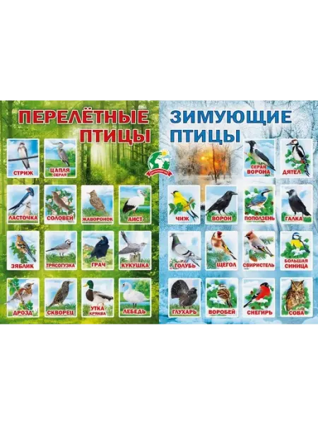 Мир поздравлений Плакат Перелетные и зимующие птицы 071.088