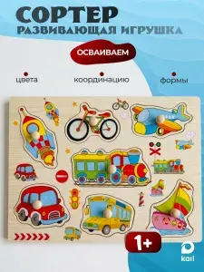 Деревянные пазлы игрушки развивающие для детей от 1 года сортер