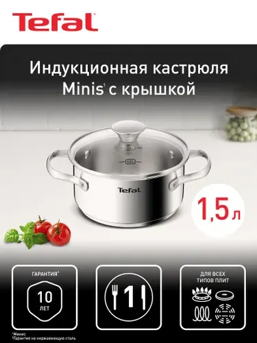 Кастрюля 1,5 л 16 см Tefal Minis с крышкой из нержавеющей стали, с мерной шкалой, для всех типов плит, включая индукционные