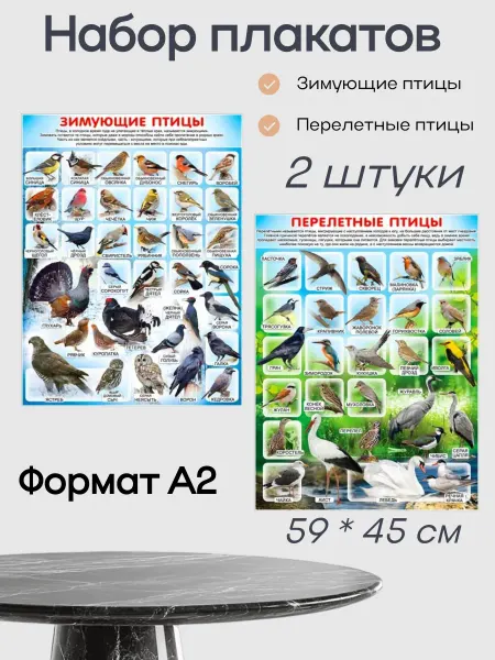 ФДА.card Детские плакаты на стену обучающие для школы 1 2 3 4 класс