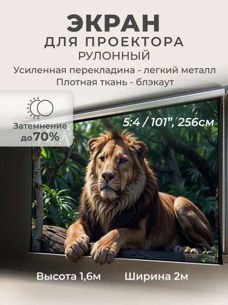 Gozhy Экран для проектора рулонный блэкаут 1.6 х 2м
