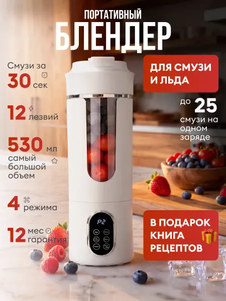 Pushbox Блендер портативный для смузи и коктейлей 2 в 1